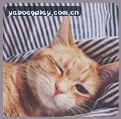 李敏